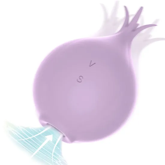 2 In 1 Vibrator, Clitoral Sucking Toy Vibrator for Women, Sex Toys for Women, Adult Toys with 5 Vibration Levels